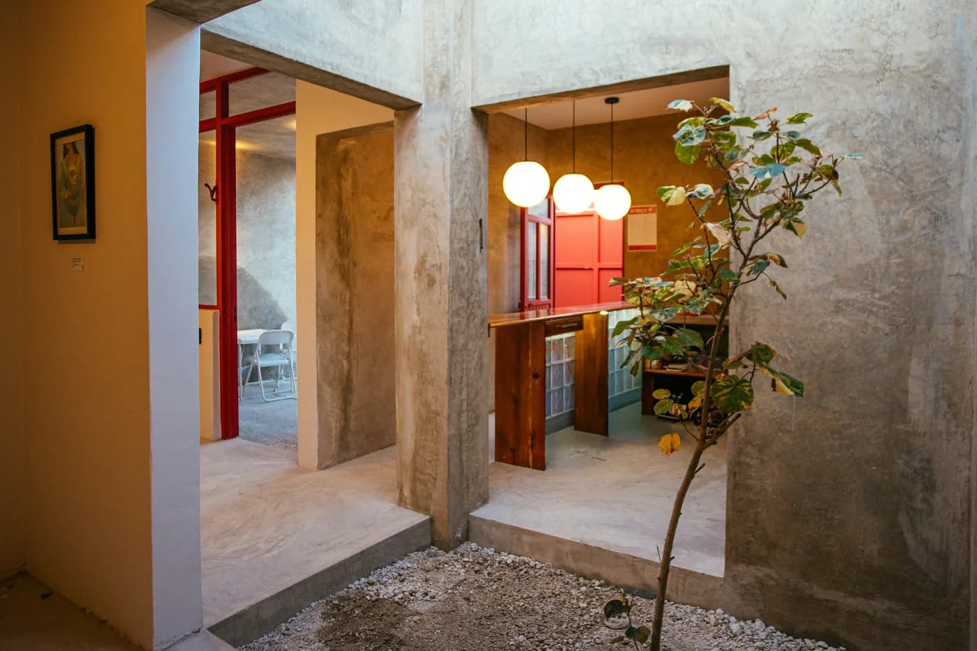Patio contemporáneo de concreto con vegetación y luz natural.