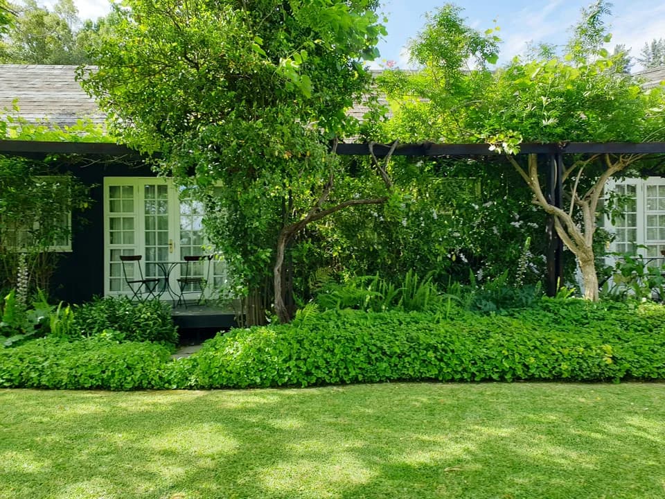 Casa rodeada de vegetación con un patio sombreado.